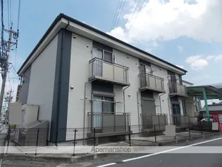 アムールの画像