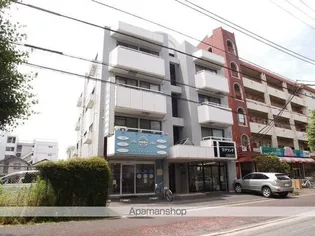 ラフィーヌ太陽の画像