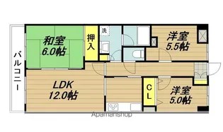 メゾンサファイア【207号室】の間取り