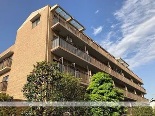 メゾン カメリアの画像