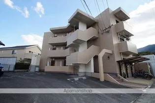 プチセントリーフの画像