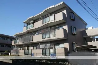 りぶいんしらゆり星1の画像