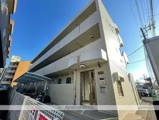 グレイスの画像