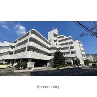 パール25の画像
