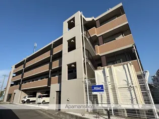 ベルドムール羽衣の画像