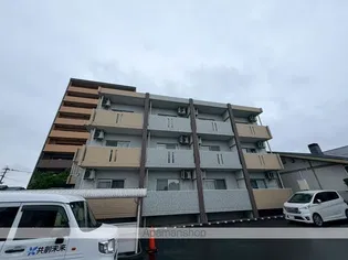 SUMIKAの画像
