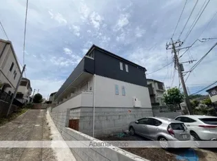 サクラノキタの画像