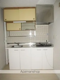 ニューシティマンション ニイヌマ【203号室】のキッチン