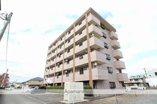 シーベルの画像