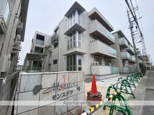 モンステラの画像