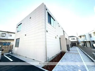 サザンローレルの画像