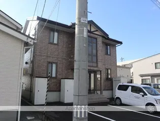 ウィルモアTの画像