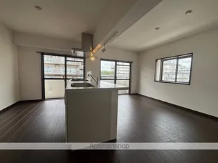 隆豊ハイツ【1階】の内装