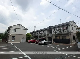 フレグランスアゼリアの画像