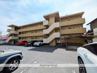 ドメスティックカーサ【3階】の外観