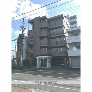 PRIMIYELL MEISEIの画像