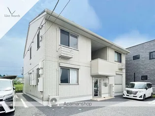 ステラBの画像