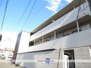 コンホルト98の画像