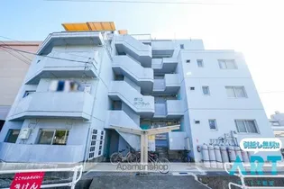 第13杉フラット【5階】の外観