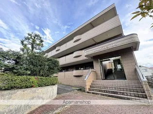 しゃんぐりらひるの画像