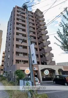 パラシオの画像