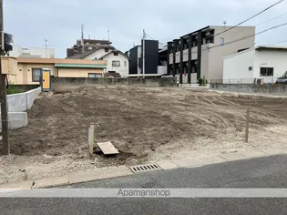 ノヴァイフ野芥の画像