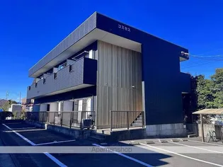 コスモスの画像