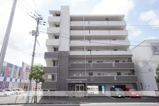 ルネッサンス枝松の画像