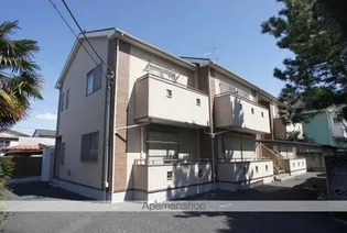 ルピナスの画像