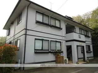 サン ファーストの画像