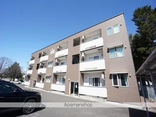 BAOBABとてっぽ通の画像