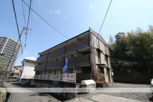 アンジェラの画像