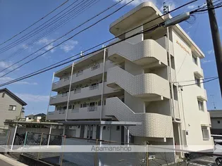 ロイヤルマルトウIの画像