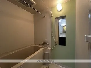 アルテマイスターデュノン【602号室】の風呂