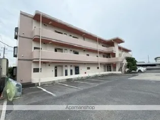 カンフォートの画像