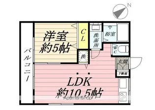 鶴ケ岡荘A【1号室】の間取り