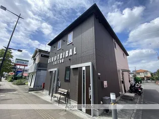 M 横田の画像