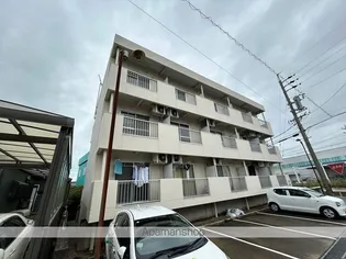 フェリス松栄の画像