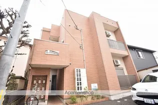 サザンパラダイスの画像