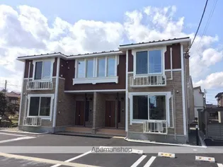 アモーレの画像