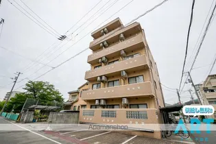 ブラウンハイム清水町【502号室】の外観