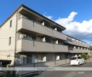 ロイヤルフレア Mの画像