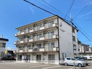 コートシエナーの画像