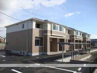 フリージアの画像