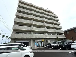 M'Sフローリッシュの画像