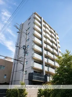 GRACE HILLSの画像