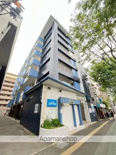 ステラ向野の画像