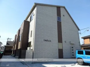 TMグレイスの画像