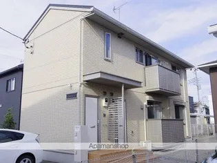 キュートの画像