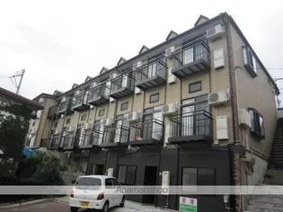 アイビーの画像